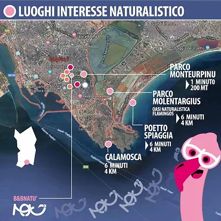 Natu * Cagliari